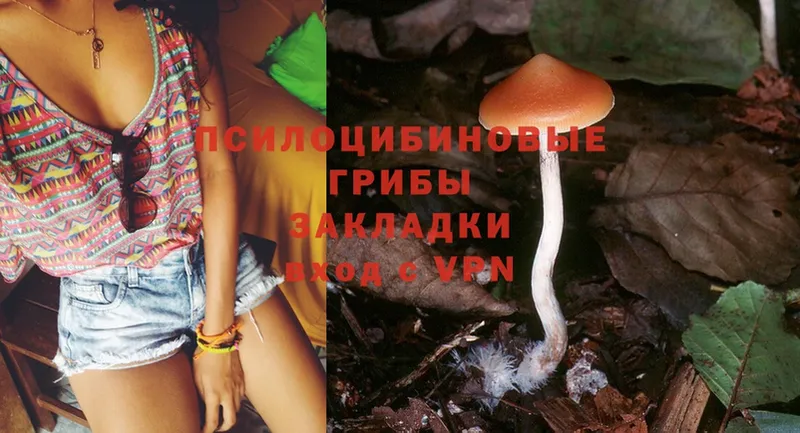 нарко площадка клад  Кыштым  Галлюциногенные грибы Psilocybe 